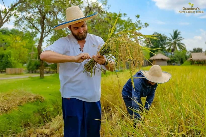 Chiang Mai: Authentic Cooking Class with Market & Farm Visit - Who will enjoy this class most?