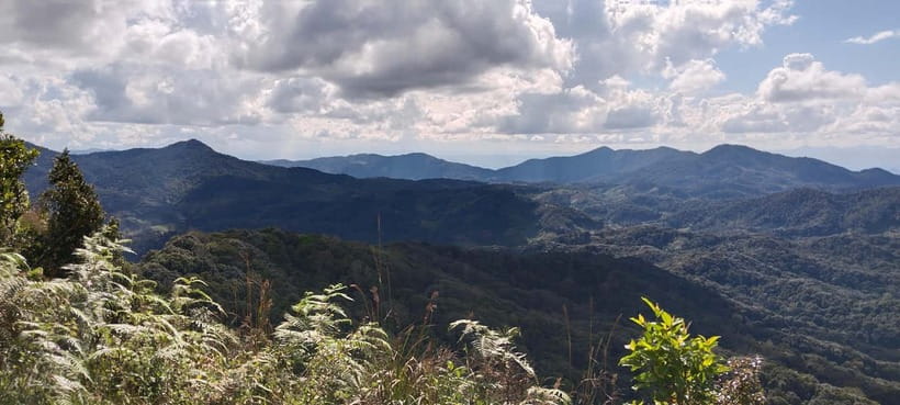Chiang Mai Authentic Trekking - Key points to know before booking