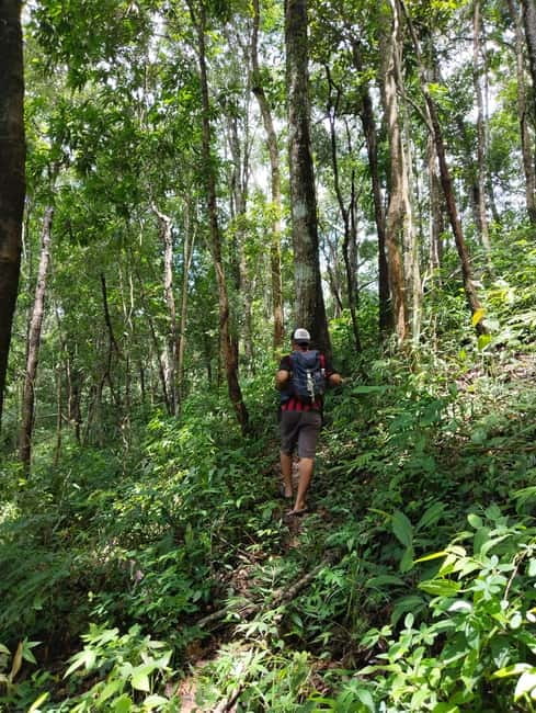 Chiang Mai Authentic Trekking - Reaching Phalai Mountain Peak