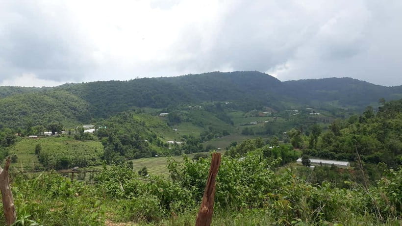 Chiang Mai Authentic Trekking - Farms, coffee, and a closer look at local agriculture