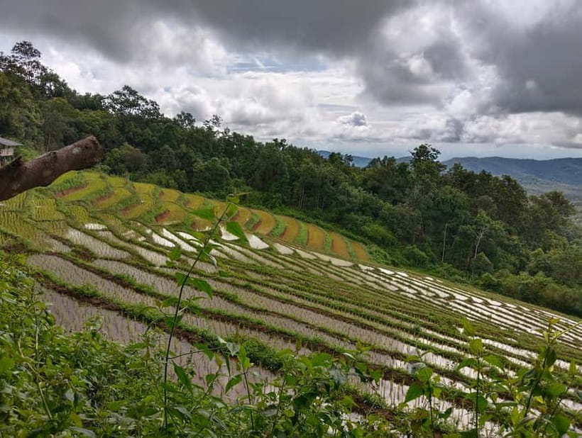Chiang Mai Authentic Trekking - The waterfall finish
