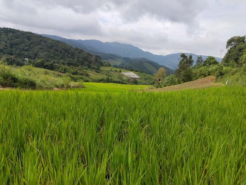 Chiang Mai Authentic Trekking - 7:45 AM pickup and the road south