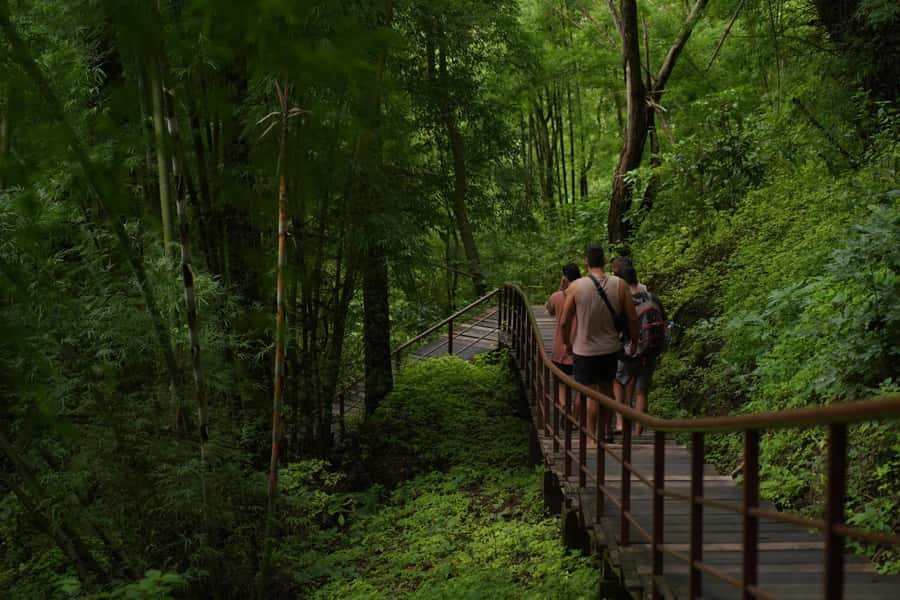 Chiang Mai: Bua Thong Sticky Waterfall & Huge Cave & Buffet - Who should choose this Chiang Mai excursion?