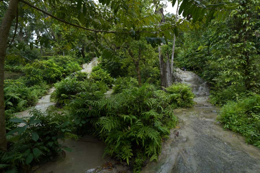 Chiang Mai: Bua Thong Sticky Waterfall & Huge Cave & Buffet - The guides make a real difference