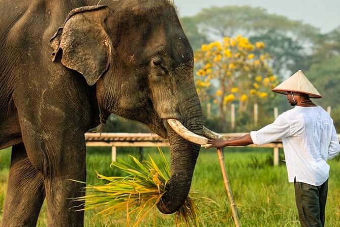 Chiang Mai Chapulin Elephant Care and Sticky Waterfall - Lunch, drinks, and the afternoon option
