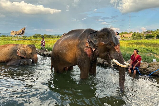 Chiang Mai Chapulin Elephant Care and Sticky Waterfall - What the $38.72 price really covers