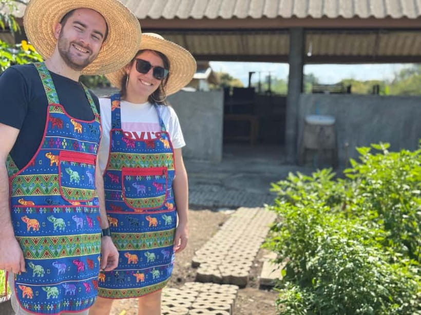 Chiang Mai : Cook in Farm, Market tour & Go by a Local Train - Cooking with herbs picked that morning