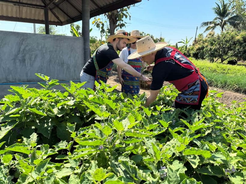 Chiang Mai : Cook in Farm, Market tour & Go by a Local Train - Should you book it?