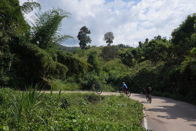 Chiang Mai: Cycling Nam Phare Countrysides, Breezy-Relax & Lunch - Forty-five minutes of bamboo rafting