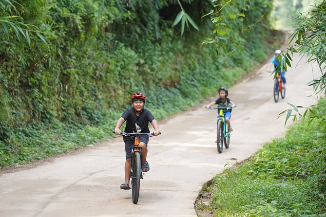Chiang Mai: Cycling Nam Phare Countrysides, Breezy-Relax & Lunch - Price and practical value at $41.99