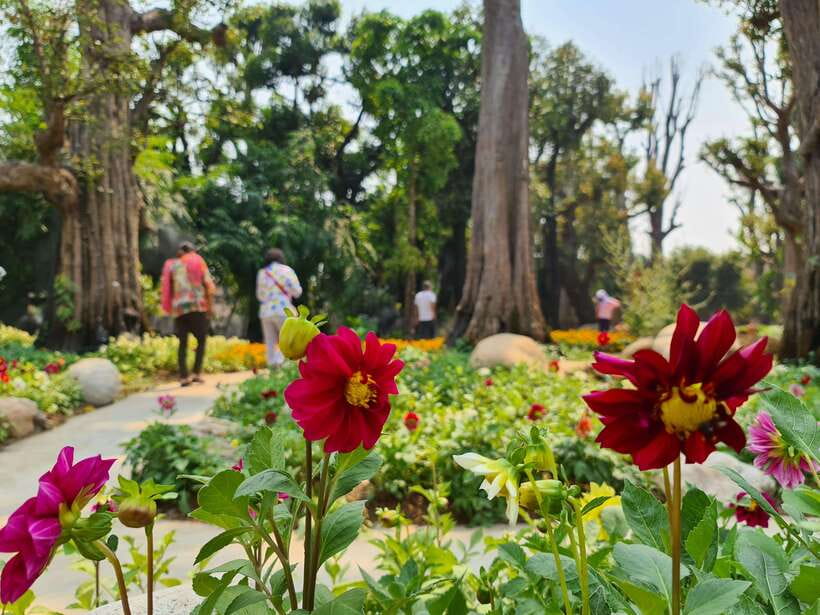 Chiang Mai: Dantewada Land of Angels & Sticky Waterfall Tour - What is included for $54