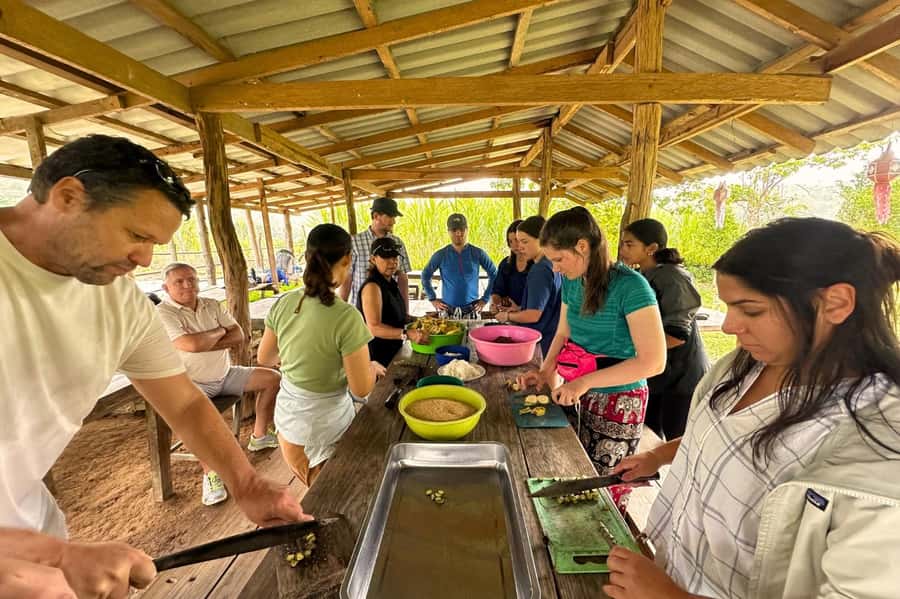 Chiang Mai: Day for Elephant Observation Only Half-day Trip - Why this elephant visit feels different