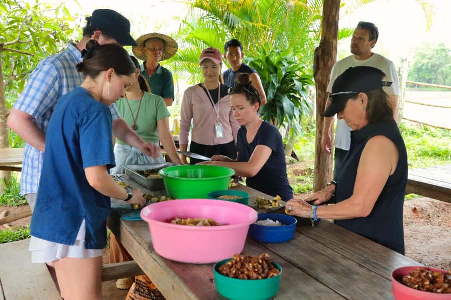 Chiang Mai: Day for Elephant Observation Only Half-day Trip - Cooking Pad Thai for lunch