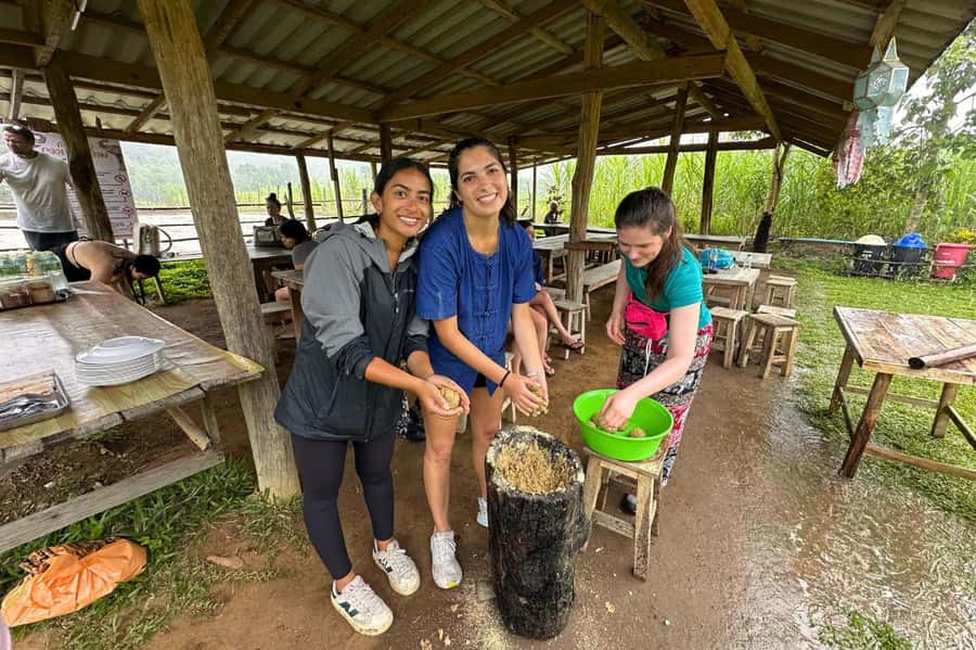 Chiang Mai: Day for Elephant Observation Only Half-day Trip - Meeting Guide Su and learning about elephant care