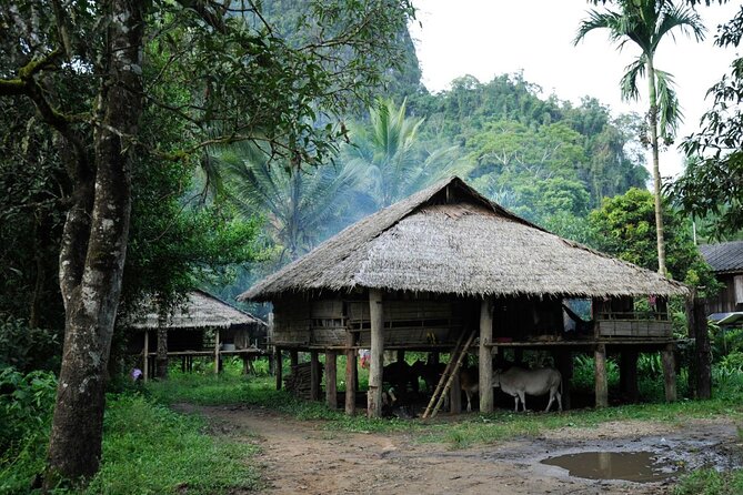 Chiang Mai Day Tour: Chiang Dao Cave and Hill Tribes - Ban Huai I-Ko and five northern Thai cultures