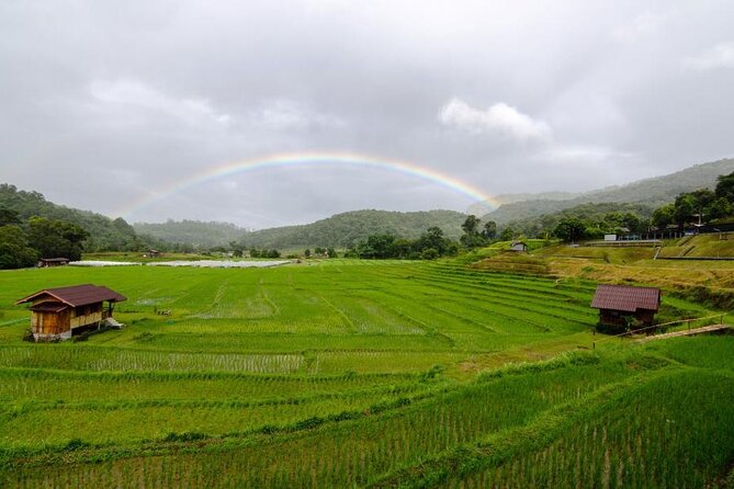 Chiang Mai - Doi Inthanon Full day Tour - Why Doi Inthanon works as a full-day escape
