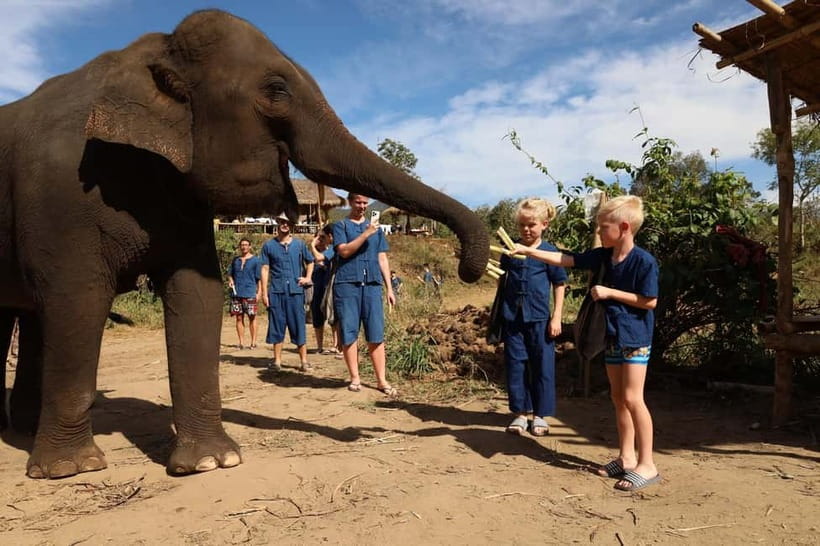 Chiang Mai: Doi Inthanon Hiking & Elephant Sanctuary Program - Key points before you book
