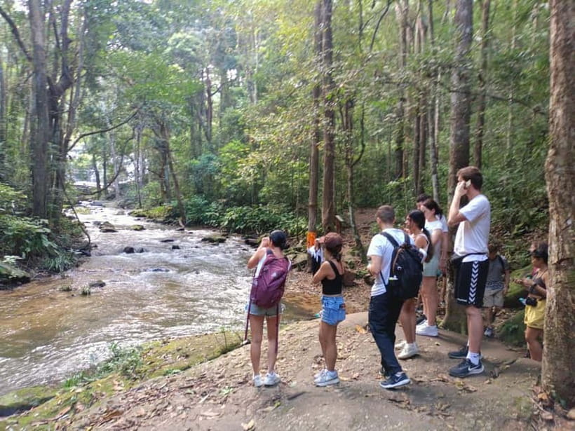 Chiang Mai: Doi Inthanon Hiking & Elephant Sanctuary Program - Doi Inthanon and the Twin Pagodas