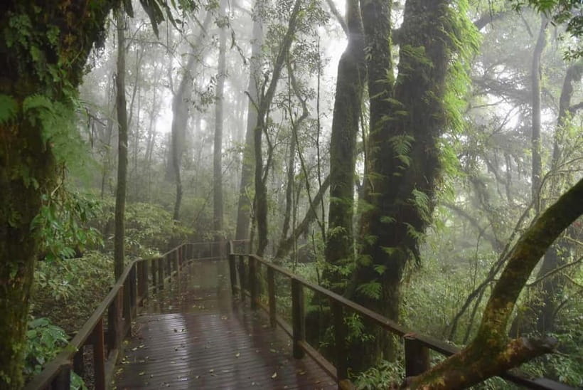 Chiang Mai: Doi Inthanon National Park and Kew Mae Pan Tour - Walking the Kew Mae Pan Nature Trail