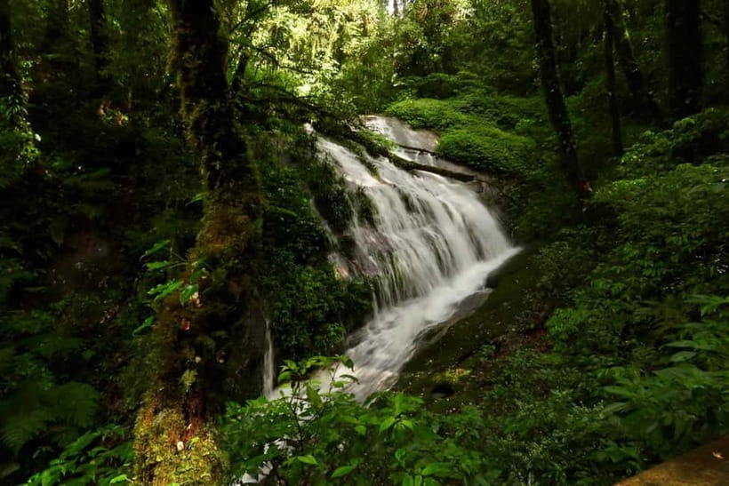 Chiang Mai: Doi Inthanon National Park and Kew Mae Pan Tour - How much value do you get for $61?