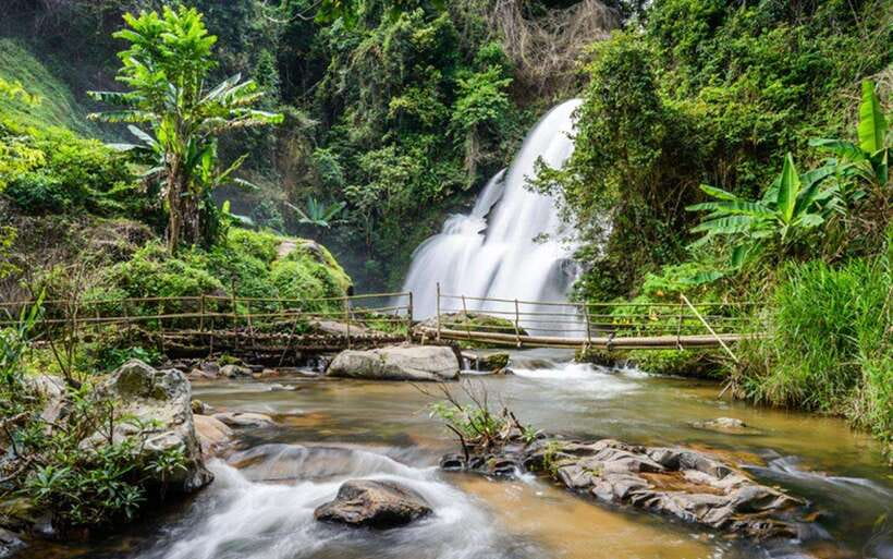 Chiang Mai: Doi Inthanon National Park and Pha Dok Siew Trek - Key points at a glance