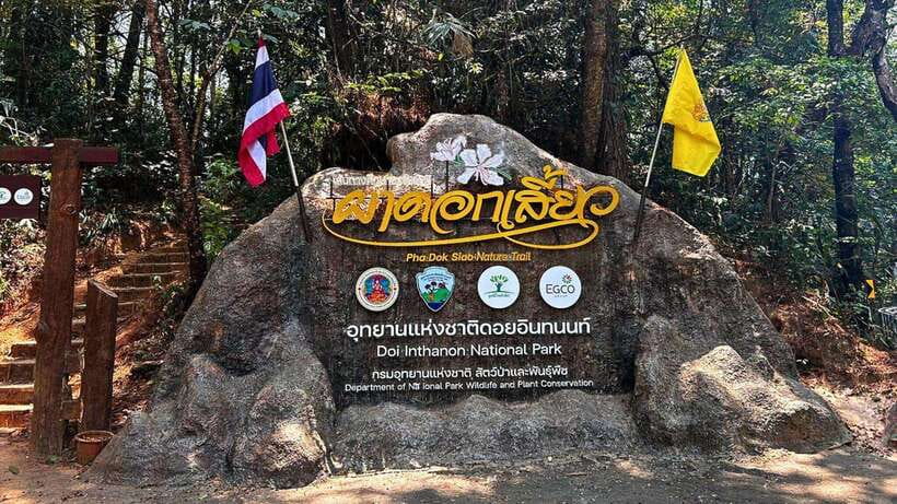 Chiang Mai: Doi Inthanon National Park and Pha Dok Siew Trek - Doi Inthanon at 2,565 meters