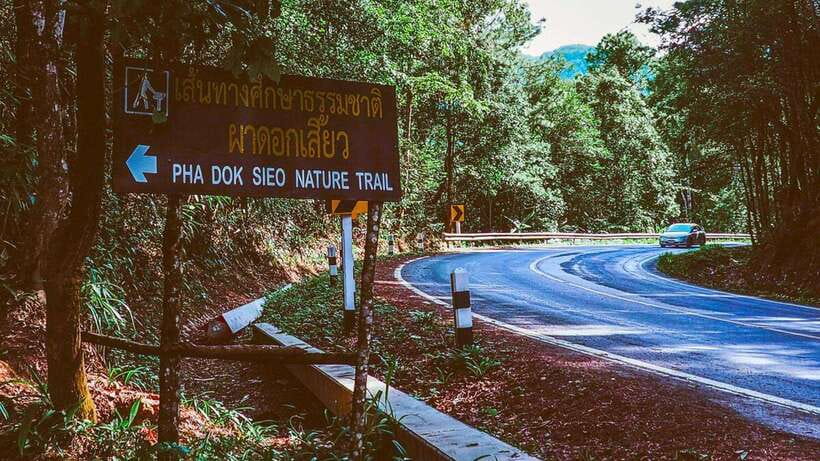 Chiang Mai: Doi Inthanon National Park and Pha Dok Siew Trek - The Pha Dok Siew trail: gentle in theory, stepped in practice