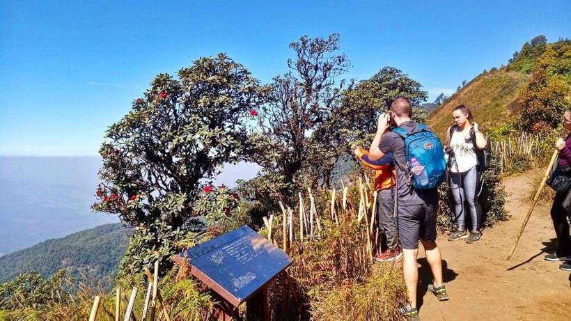 Chiang Mai:Doi Inthanon National Park & Hike at Kew Mae Pan - Why Kew Mae Pan makes this Doi Inthanon day worthwhile