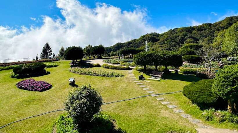 Chiang Mai:Doi Inthanon National Park & Hike at Kew Mae Pan - Kew Mae Pan trail: the active heart of the day
