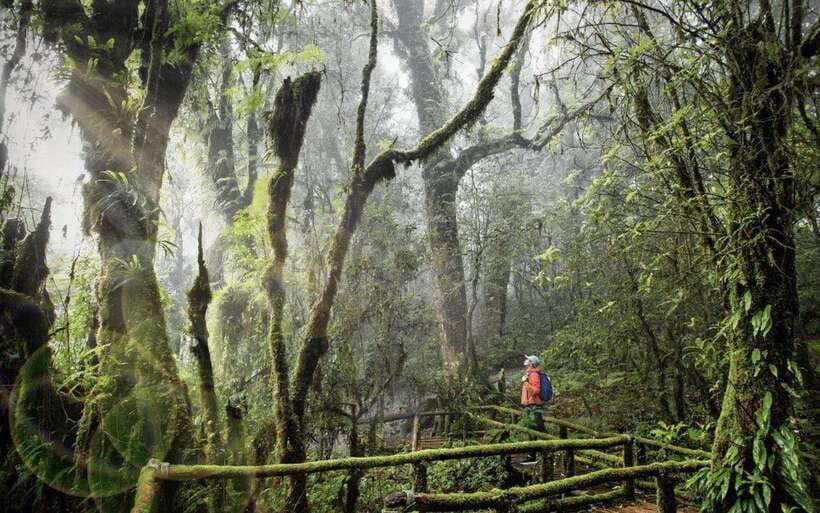 Chiang Mai: Doi Inthanon National Park Sightseeing Only - The King and Queen Pagodas