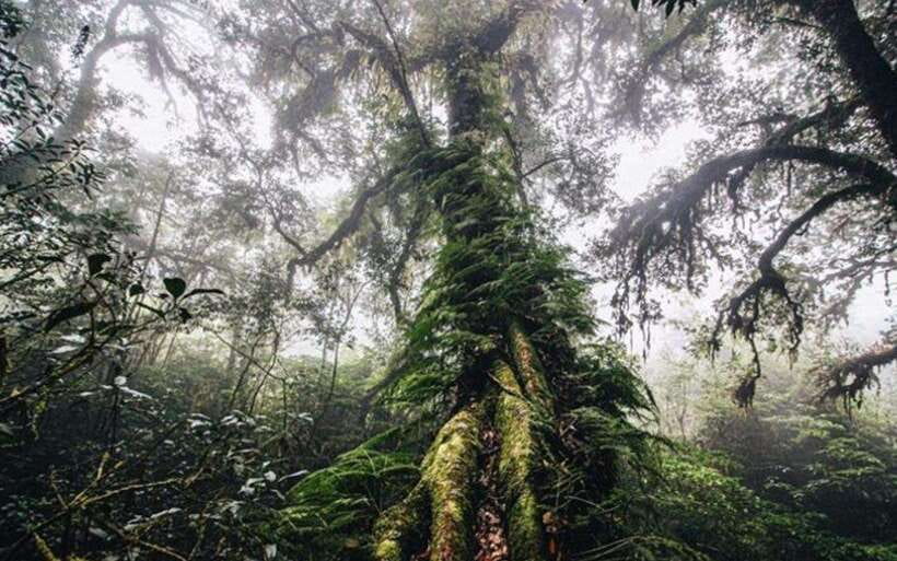 Chiang Mai: Doi Inthanon National Park Sightseeing Only - Two waterfalls, two different stops