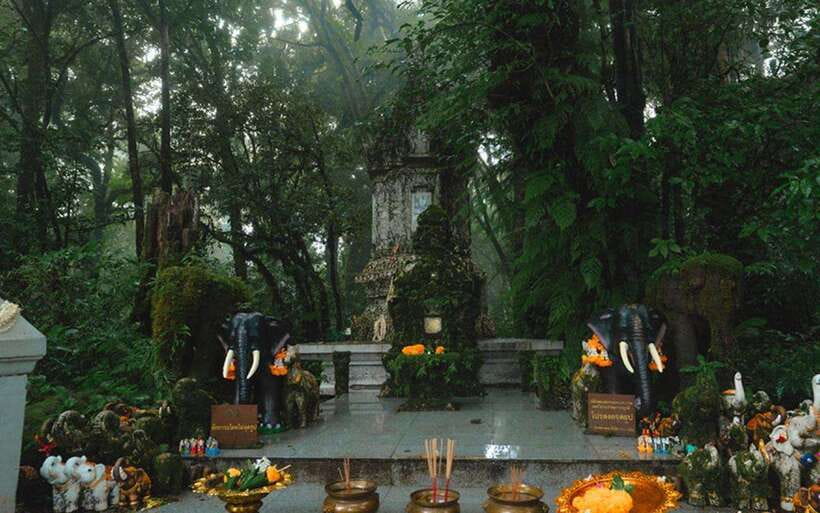 Chiang Mai: Doi Inthanon National Park Sightseeing Only - Hmong market and Ban Mae Klang Luang