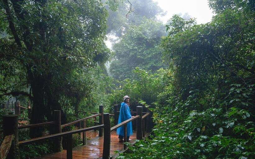 Chiang Mai: Doi Inthanon National Park Sightseeing Only - How much guiding will you get?