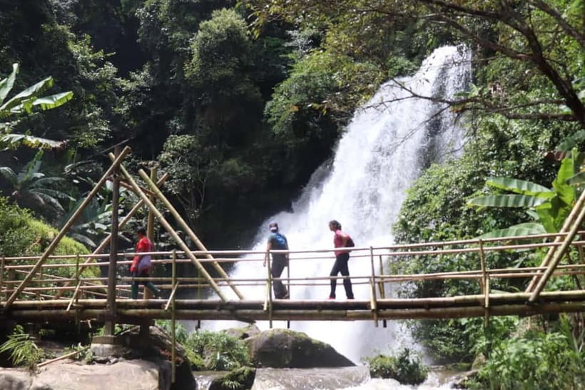 Chiang Mai: Doi Inthanon National Park+Trek Pha Dok Siew - Walking the Pha Dok Siew Nature Trail