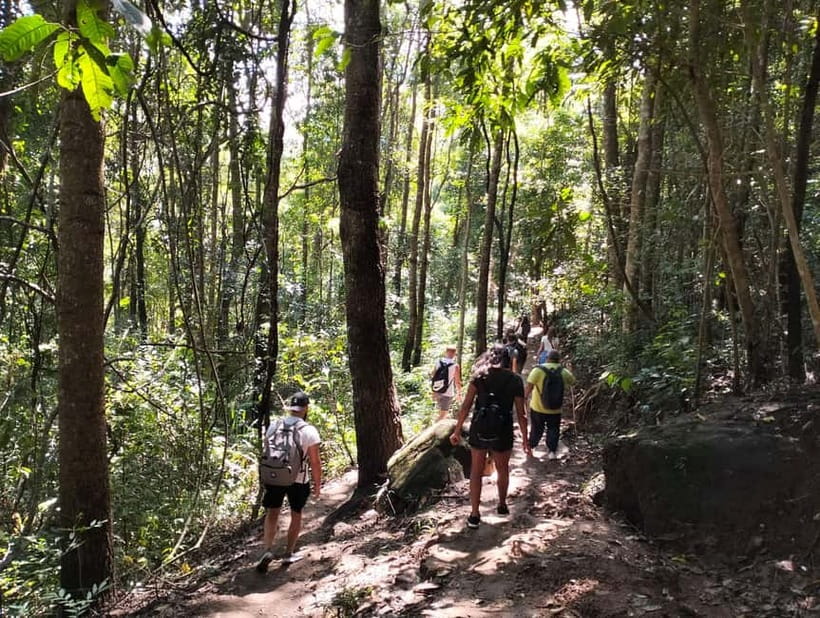 Chiang Mai: Doi Inthanon National Park+Trek Pha Dok Siew - Ban Mae Klang Luang and its seasonal rice fields