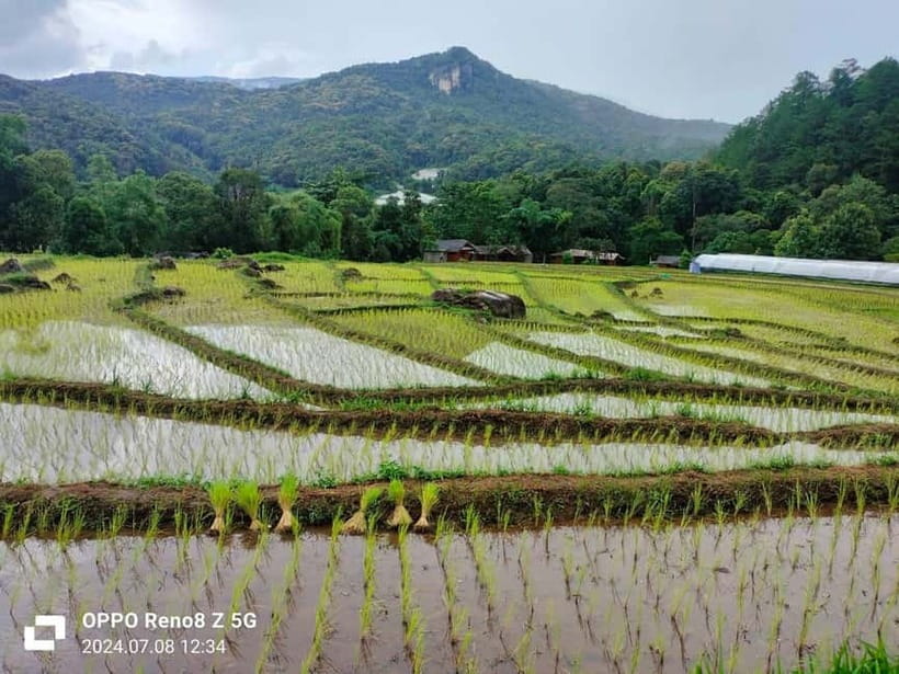 Chiang Mai: Doi Inthanon National Park+Trek Pha Dok Siew - Coffee in a white Karen village