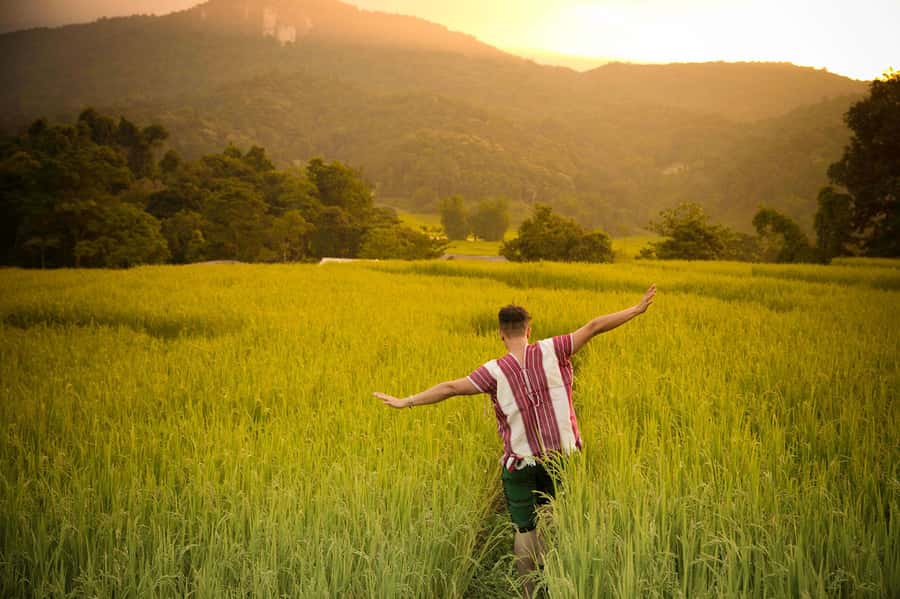 Chiang Mai: Doi Inthanon National Park, Waterfall & Lunch - Who will enjoy this Doi Inthanon day?