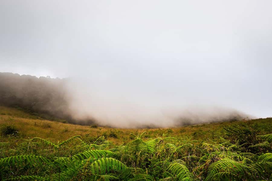 Chiang Mai: Doi Inthanon National Park, Waterfall & Lunch - Wachirathan Waterfall and the park’s cool air