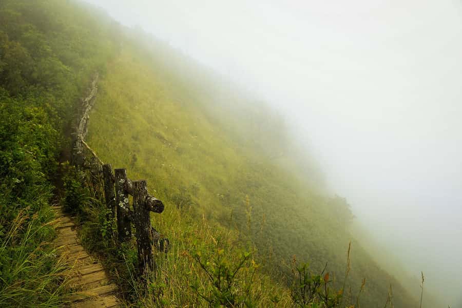 Chiang Mai: Doi Inthanon National Park, Waterfall & Lunch - The drive from Chiang Mai and shared pickup