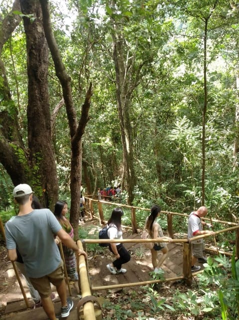 Chiang Mai: Doi Inthanon Park and Pha Dok Siew Hike Day Trip - Lunch at the Hmong Market