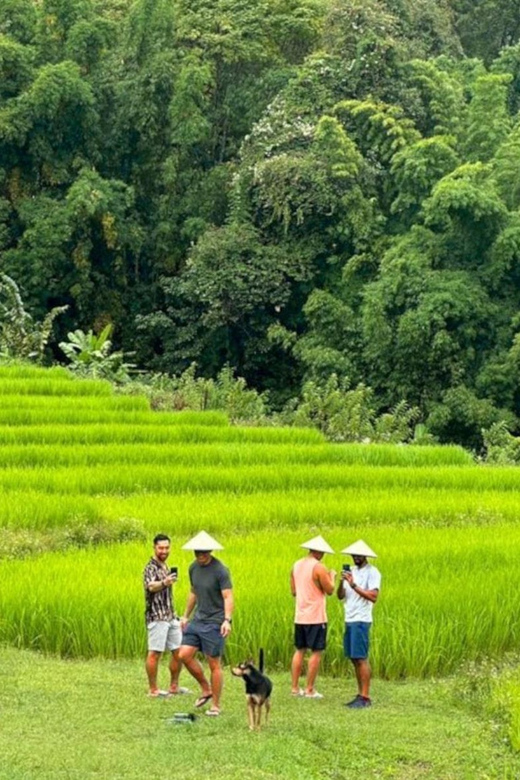 Chiang Mai: Doi Inthanon Park and Pha Dok Siew Trail Trek - Why this Doi Inthanon day trip works