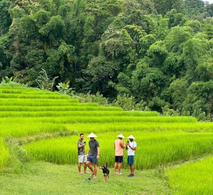 Chiang Mai: Doi Inthanon Park and Pha Dok Siew Trail Trek - The King and Queen Pagodas