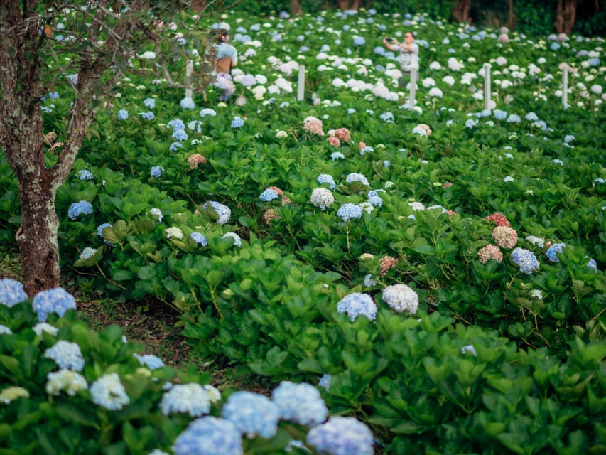 Chiang Mai: Doi Inthanon Park and Pha Dok Siew Trail Trek - The Hmong Market and mountain lunch