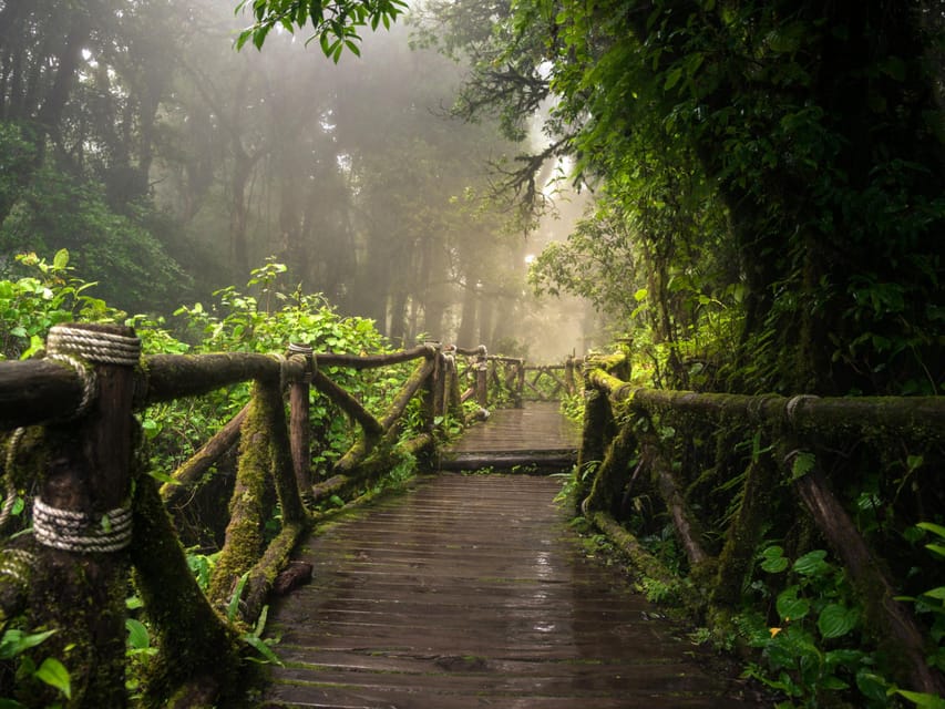 Chiang Mai: Doi Inthanon Park and Pha Dok Siew Trail Trek - Hiking the Pha Dok Siew Nature Trail