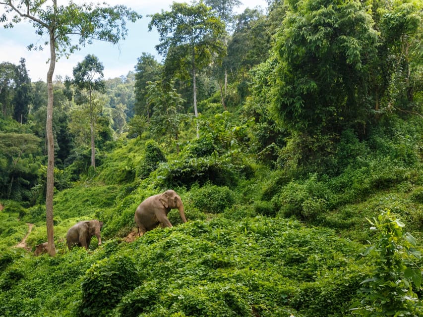Chiang Mai: Doi Inthanon Park and Pha Dok Siew Trail Trek - The two-hour ride from Chiang Mai