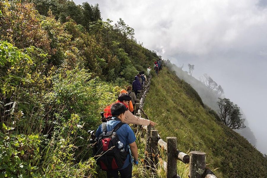 Chiang Mai: Doi Inthanon Park Day Trip with Kiw Mae Pan Hike - Who should choose this Doi Inthanon trip?