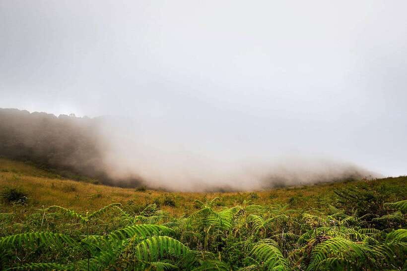 Chiang Mai: Doi Inthanon Park Tour & Kew Mae Pan Trail Hike - Lunch, group size, and the value of the package