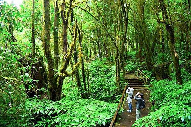 CHIANG MAI: Doi Inthanon-Trekking Keiw Mae Pan-Waterfall-Lunch - Hill-community stops need realistic expectations