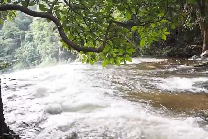CHIANG MAI: Doi Inthanon-Trekking Pha Dok Seaw-Waterfall-Lunch - Why this Doi Inthanon day is worth your time