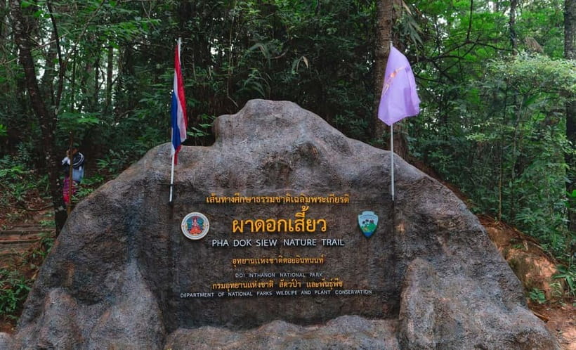 Chiang Mai: Doi Inthanon Trip with Pha Dok Siew Guided Trek - Key points at a glance